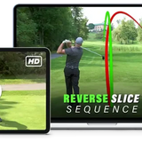 Reverse Slice Sequence Online Training System